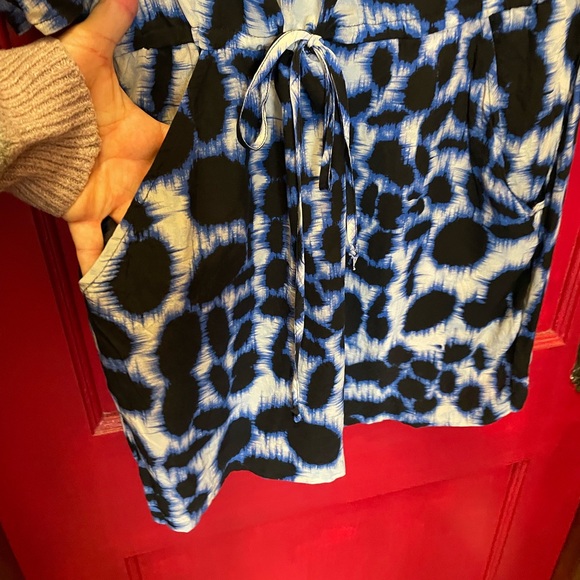 Twelfth Street by Cynthia Vincent silk dress - Picture 5 of 6